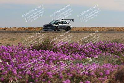 media/Jan-08-2023-SCCA SD (Sun) [[8f6a5b9391]]/Intermediate Group/Session 2 (Short Straight)/